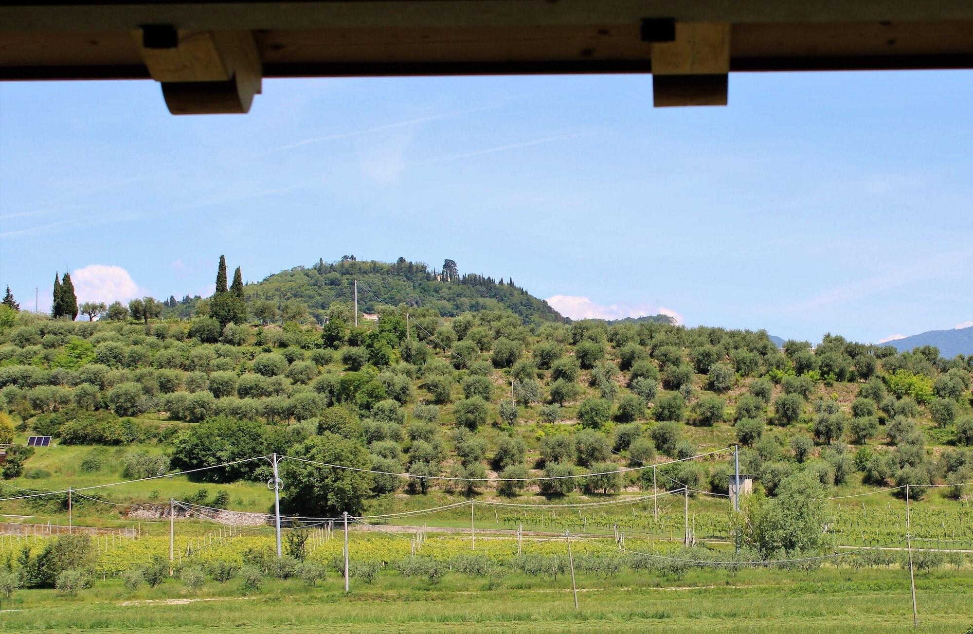 Borgo Romantico Relais Hotel Cavaion Veronese Exterior photo